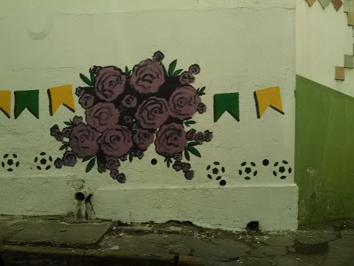 Grafite Flores Junina do Brasil 