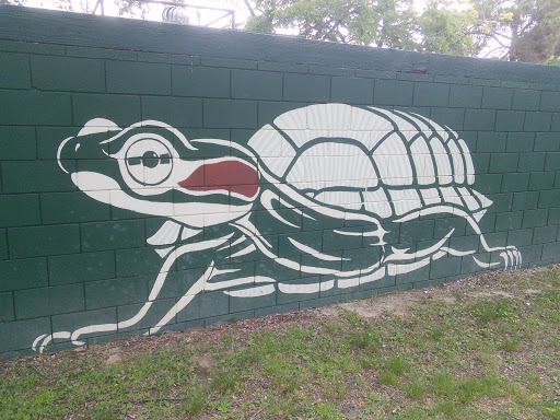 Snapping Turtle Wall Art