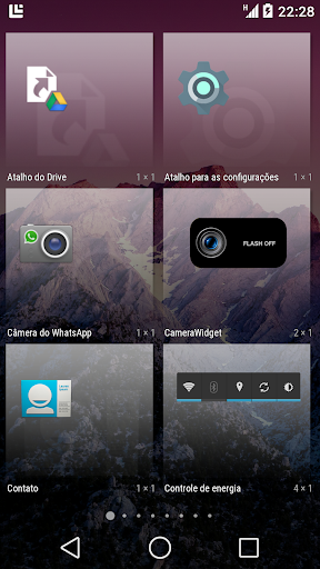 Camera Widget