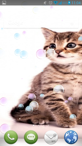 Kittens Play With Bubbles LWP