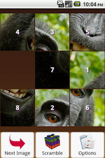 Monkey Puzzle Screenshots 11