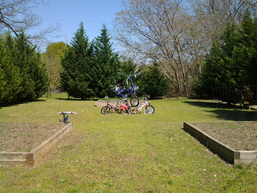 Bike Tree Art