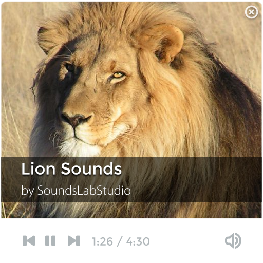 Lion Sounds