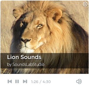 Download Lion Sounds APK
