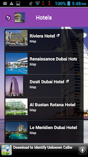 Dubai Airport Screenshots 3