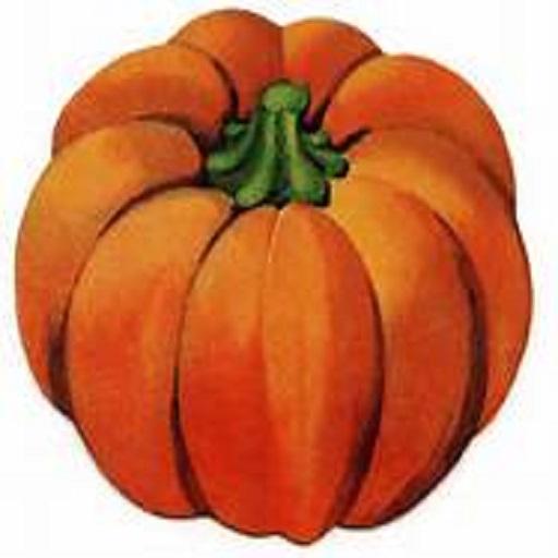 Pumpkin Memory Game 休閒 App LOGO-APP開箱王