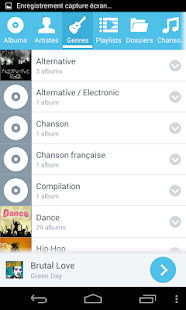 PlayerPro Flatty Skin - screenshot thumbnail