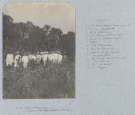 In de Para savanne (tusschen Post Republiek en Berlijn)