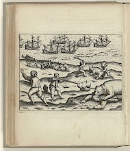 Schieten van de ijsbeer die twee zeelieden had aangevallen, 1595