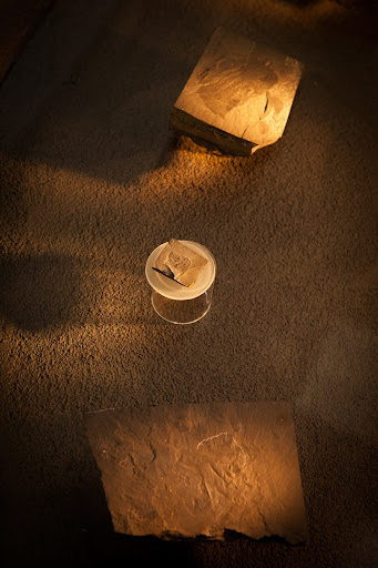 Esquisto de Burgess — Google Arts & Culture