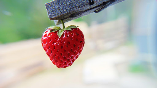 Strawberry HD Live Wallpaper