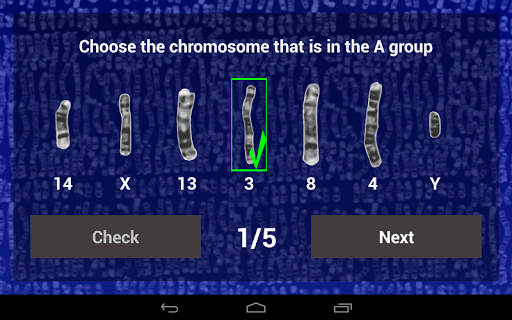 Chromosome Quiz