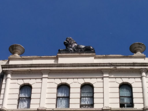 The Lion Watching Over Cardiff