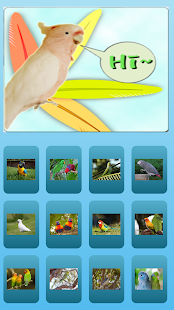 Download parrot sound effects APK