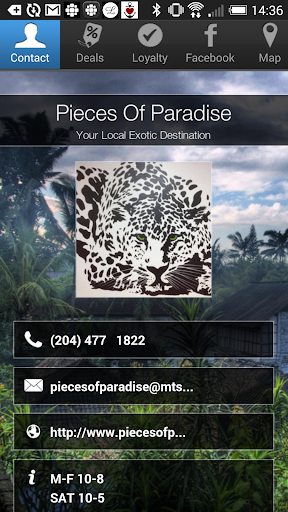 Pieces Of Paradise