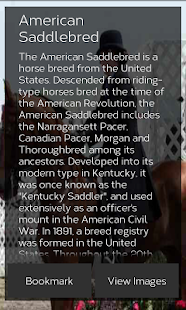 Horse Breeds: Types of Horse Screenshots 11