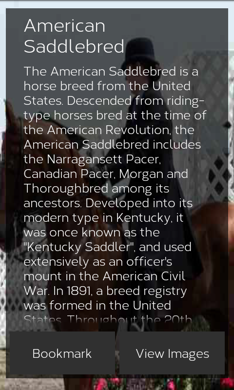 Horse Breeds: Types of Horse Screen 2