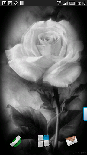 White Rose Live Wallpaper