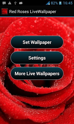 Red Rose Live Wallpaper