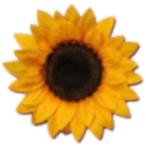 Sunflowers keyboard LOGO-APP點子