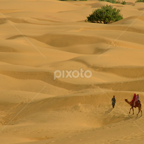 Khuri by Saurav Chakraborty - Landscapes Deserts