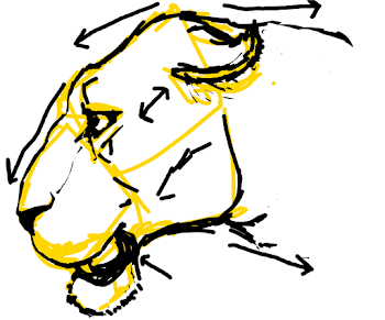 Lion head study 1