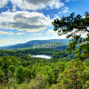 Wonderful View on the Top of Kirirom Mountain In Cambodia by Lim Hok - Landscapes Mountains & Hills