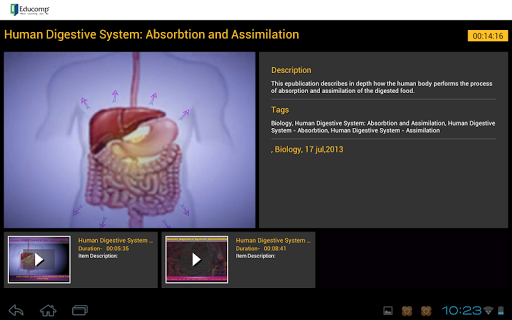 Absorbtion and Assimilation