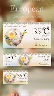 EUROPEAN THEME GO WEATHER EX