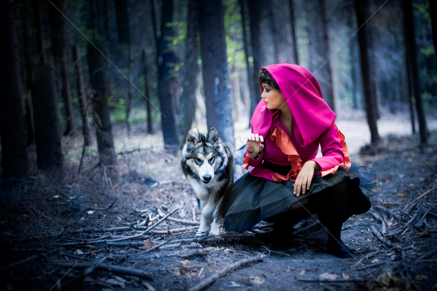 once upon a time by Attila Hajos - Animals - Dogs Running