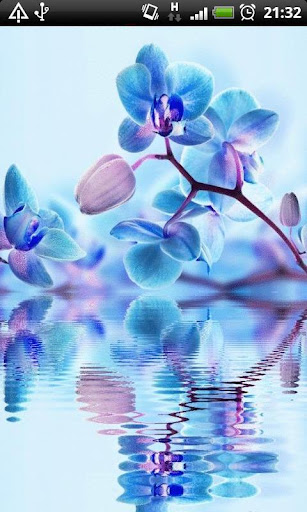 【免費個人化App】Blue Orchids in Water LWP-APP點子