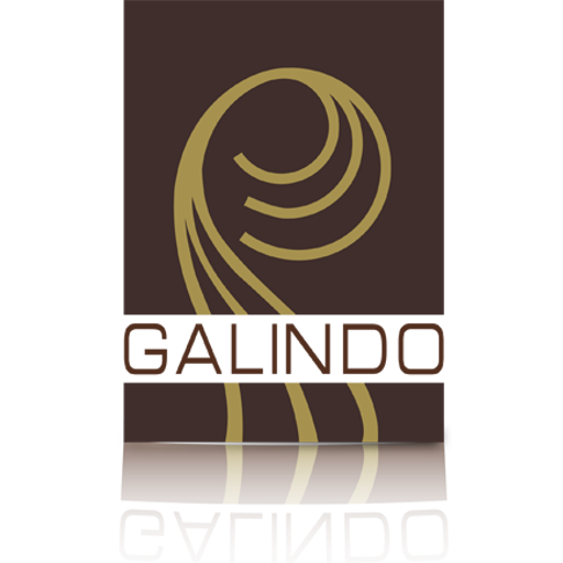 Galindo Decoración Textil LOGO-APP點子