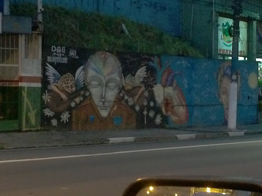 Grafite Interlagos