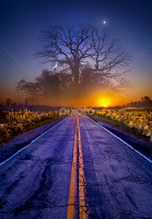 What Dreams May Come by Phil Koch -  