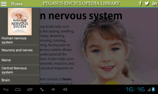 Nervous System