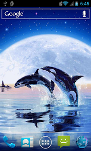Download Dolphins at starry night lwp APK