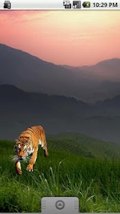 Tiger Sticker Screenshots 2