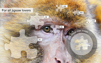Monkey Jigsaw Puzzles Demo poster 10