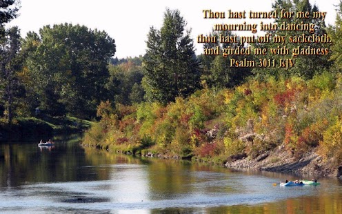   Chronological Bible Studies- screenshot thumbnail   