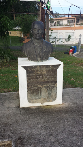 Dr Ramoz Baez Machado Statue