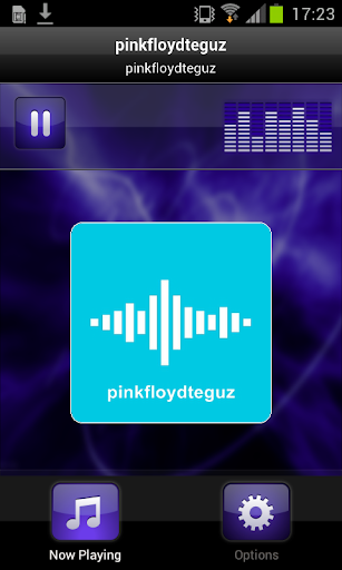 pinkfloydteguz