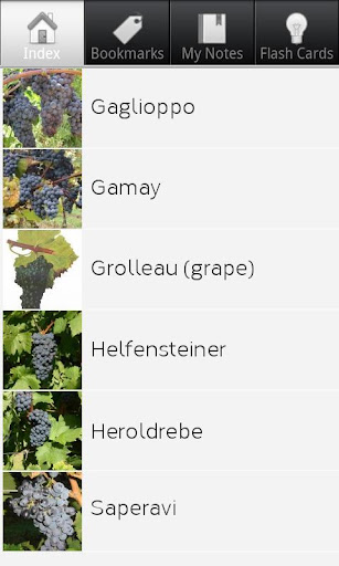 Grape Varieties