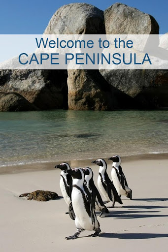 免費下載旅遊APP|Cape Peninsula app開箱文|APP開箱王