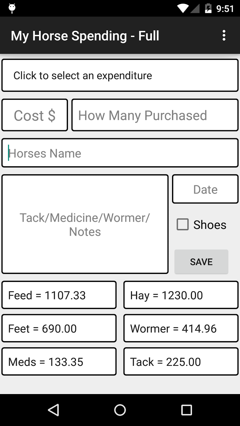 My Horse Spending - Full Screen 2