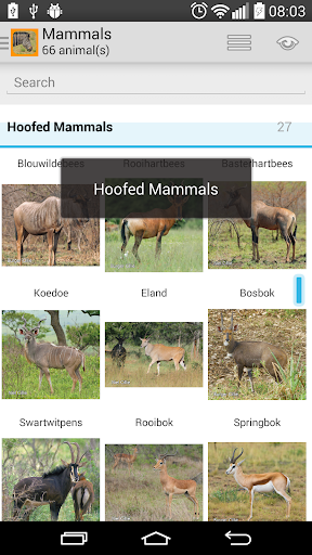 【免費書籍App】Animals of Pilansberg-APP點子