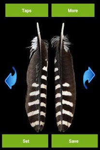 Free Download Feathers Wallpapers APK for Android