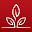 AHC Now Download on Windows