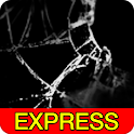 Crack Your Screen Express logo