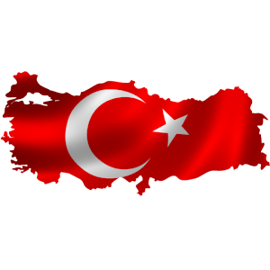 TuGjCCTChoHAsmmG-tV7lmIalxltJa83-WFJYnWcZeNwc2uXztL9IvWTK7-iZTs-srU=w300-rw