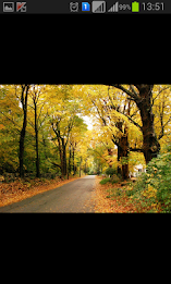 Slide Album by Dream Soft poster 6